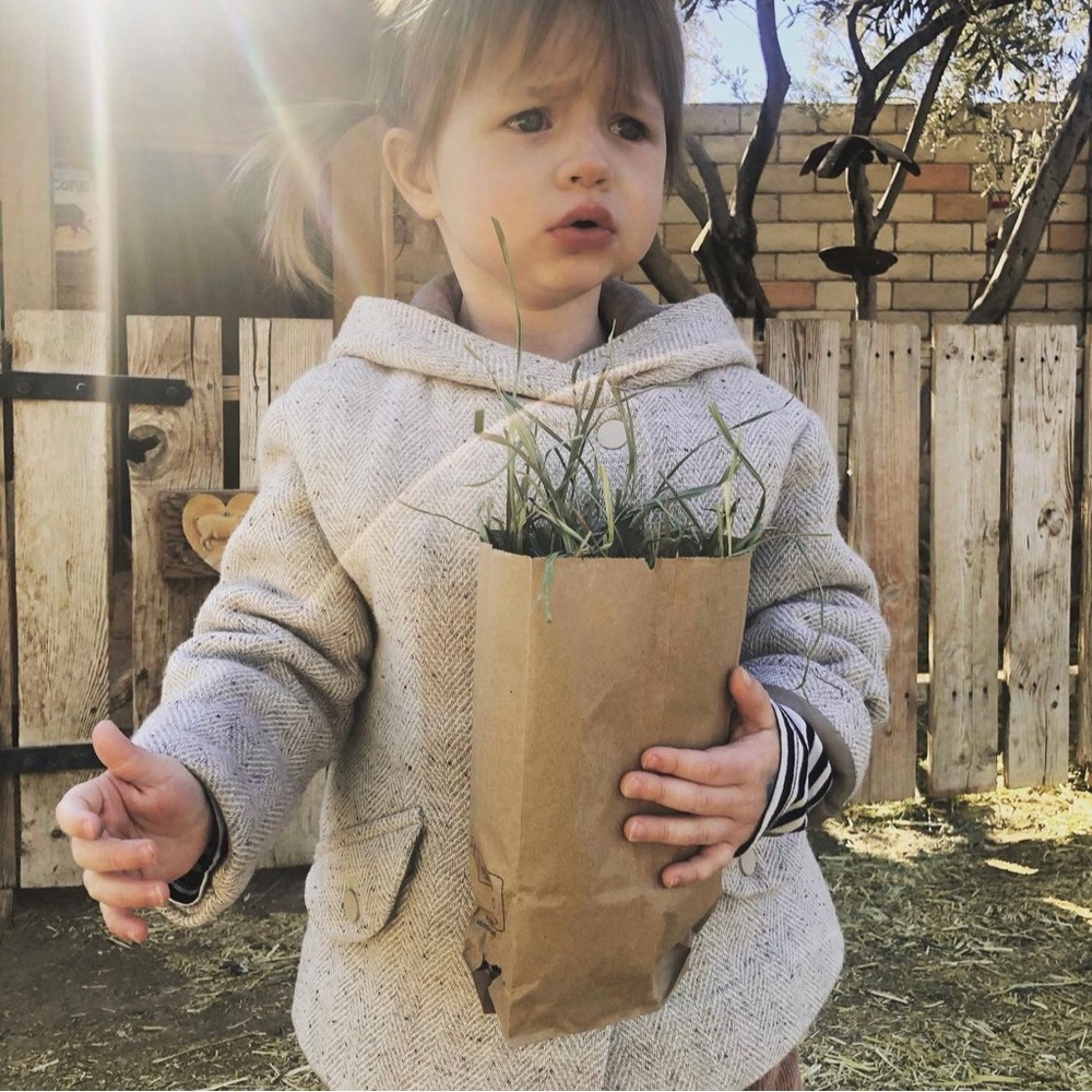 Gorgeous Zara jacket lined in soft linen, literally so adorable on little ones!